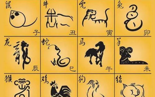 今天出生的人属什么生肖？