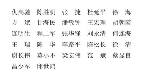 2) 俏皮话插入示例：