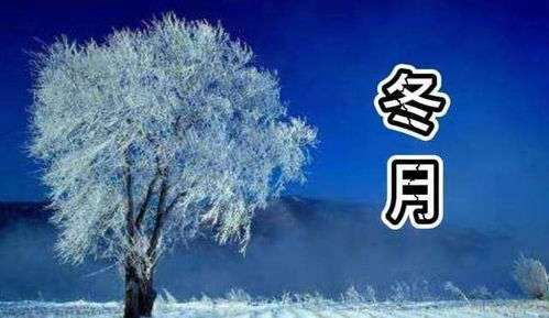 天文学视角下的季节划分