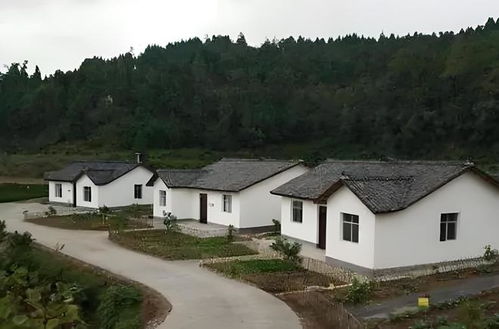 看房子风水价格是多少？如何化解房子进蛇的风水问题？