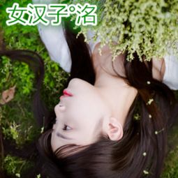 第四节：生肖兔的温柔与期待