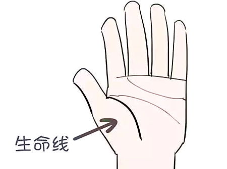 断掌纹的影响