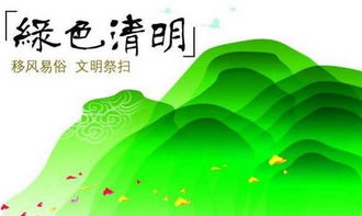 三、  替代方案及应对策略