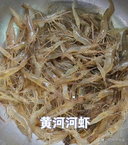 1. 季节性因素的限定修饰