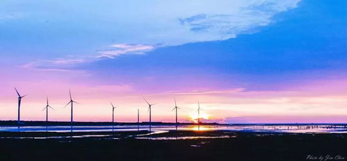 杨家堂村的‘磨蹭生活实验’: 我们真的需要网红民宿吗？