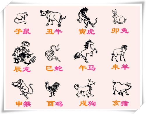 1978年属马的人运势解析，哪位大师讲解得最引人入胜？