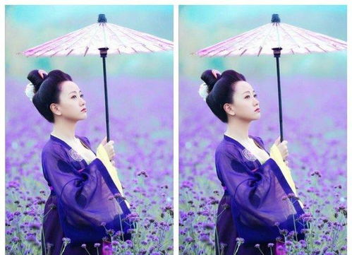 引子：在风雨中寻找一束光