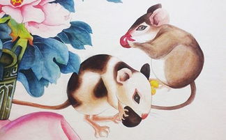 1984年属鼠女性今年婚姻运势如何？