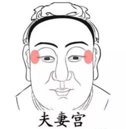 夫妻宫形态与婚姻关系质量关联性之学理辨析：兼论幸福婚姻关系构建之更多维路径
