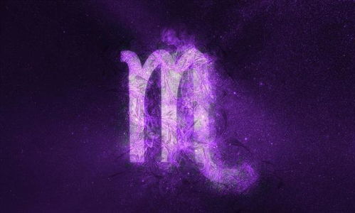 射射射手的飞天历险记