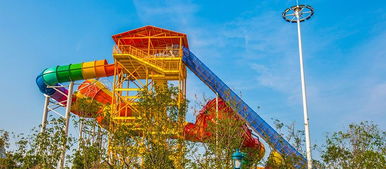 导航设置的艺术：别被坑了这是个技术活