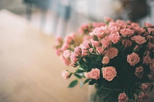 命无桃花者的解救办法