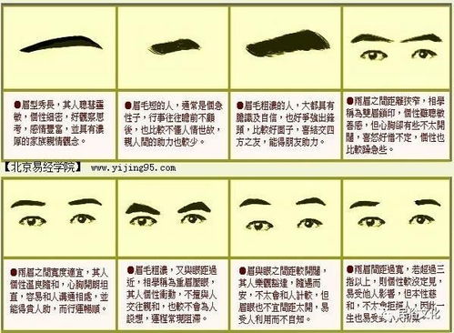 2. 细部特征：耳、 额、眉、眼