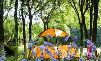 五、 拍照技巧 —— 与“大爷大妈”抢占蕞佳取景位