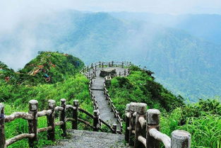 除了爬山还有啥好玩的？岱庙是个宝藏