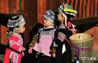 研究准备阶段及核心诉求分析