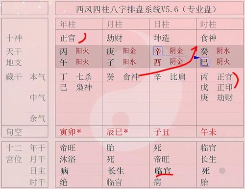 癸日酉月八字命例，癸酉月癸酉日是什么命理特点？