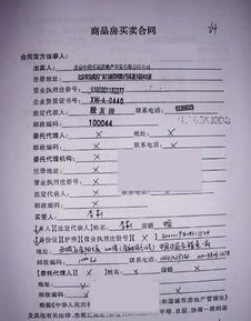 不同行业背景下的优选日期考量