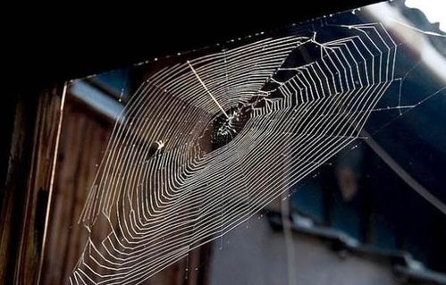 家道衰落：警钟长鸣