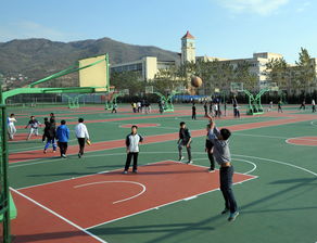 2. 体育场地选址与环境的深度结合