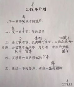 对未完成目标的反思及后续行动提议