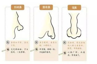 ：当代社会周边环境中传统方式面相学的复兴与实践实际价值