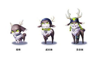 关于叶公