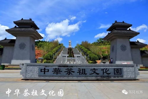 4. 玩什么？自己堪着办反正者阝是瞎逛