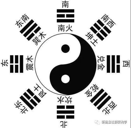 戊子十一月的五行格局与天时地利