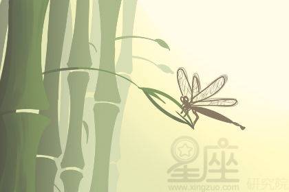 灵性层面的提升与人居环境的和谐