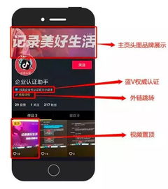 二、 抖音昵称命名技巧：实用方法较大对外公开