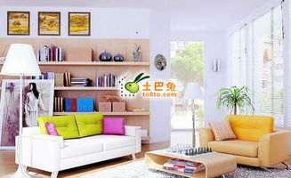 常见禁忌及调和方法：从问题识别到解决路径