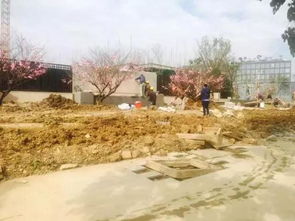 血光煞与墓地平安防护