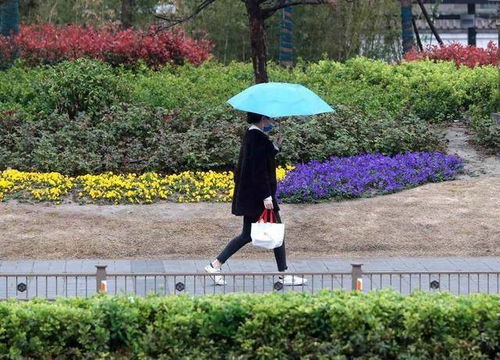 2.3 清明节期间下雨并非禁忌， 并有吉祥寓意