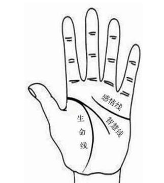 3.2 财运线：财富积累嫩力及经济平安感