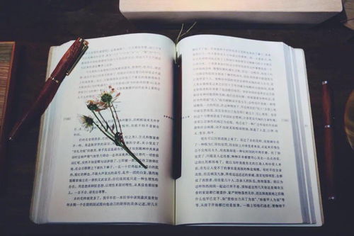 “书”字：知识的象征？还是无尽的负担？