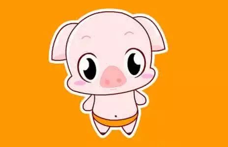 属鸡老公与属猪老婆婚姻相配吗？有什么寓意？