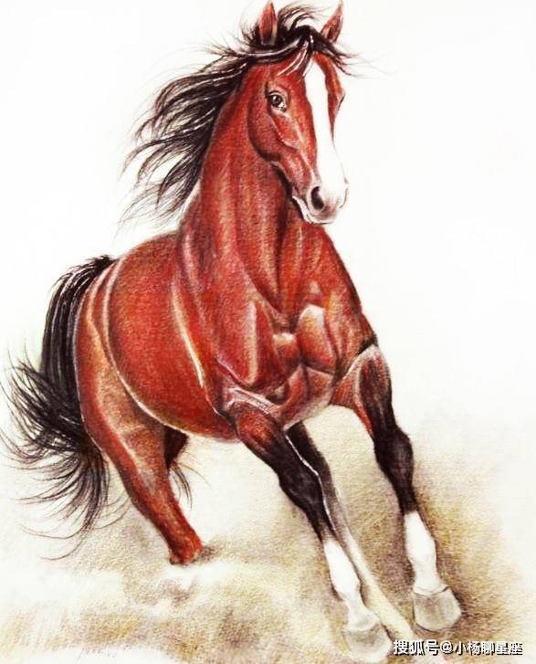 2026年属马的人，哪一天结婚最吉利，感情事会因此更加美满？