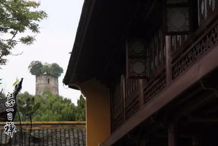 皇姑公园：闹市中的静谧绿洲
