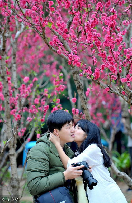 我的八字中两个桃花星，如何改写才能避免桃花带来的不利影响？