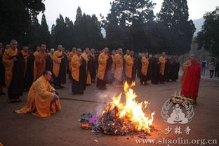 少林寺塔林祭祖：宗法制度与佛教中国化的交融