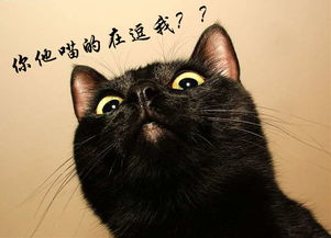 四、理性应对提议：与适当干预