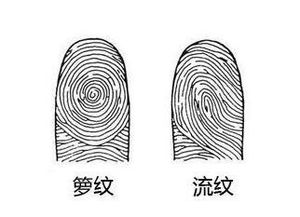 1. 斗与簸箕的概率学分析