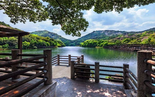 隐藏条款大曝光