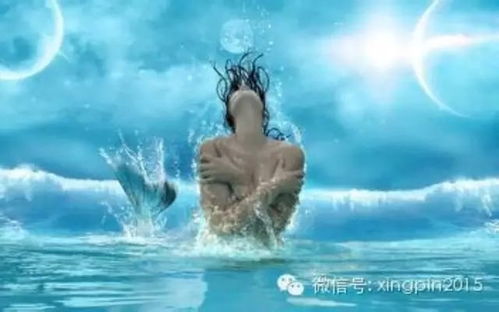 六、深海中的邂逅与抉择