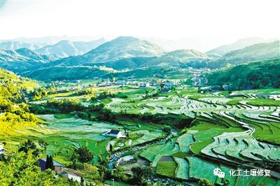 二、 核心理状态论与实证数据综述