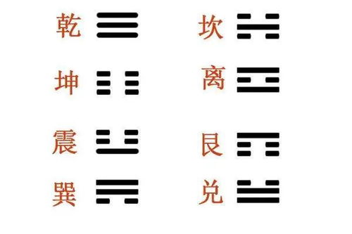 第二步：备具三枚流通硬币并进行象数投掷