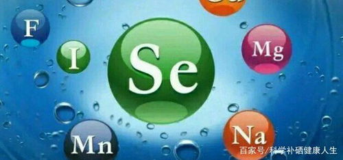.維護注意事項