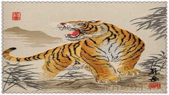 2026年属虎人的健康运势解析具体包括哪些方面？