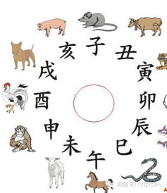 四、生肖星座的新潮玩法